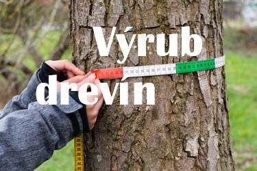 Výrub drevín